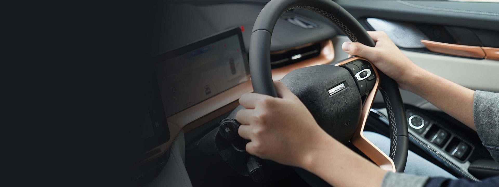 Book a Test Drive Banner