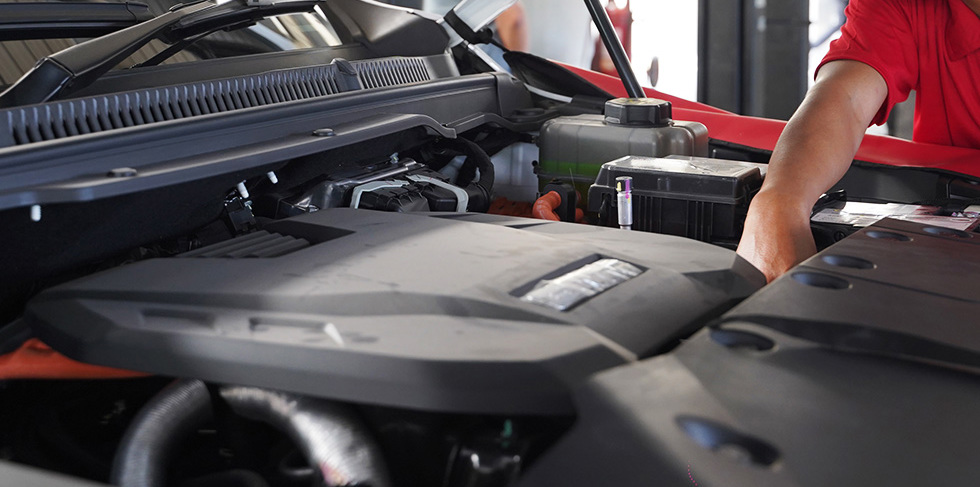 WORRY FREE GO WITH MORE